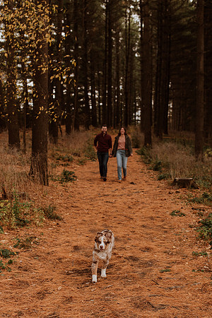Ashley-Wyatt-Dogs-1073