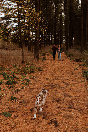Ashley-Wyatt-Dogs-1074