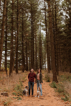 Ashley-Wyatt-Dogs-1079