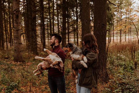 Ashley-Wyatt-Dogs-1088