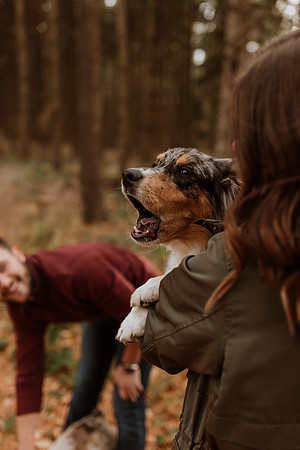 Ashley-Wyatt-Dogs-1090