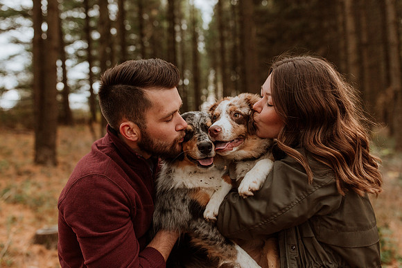 Ashley-Wyatt-Dogs-1118