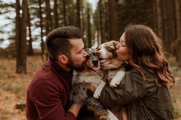 Ashley-Wyatt-Dogs-1119