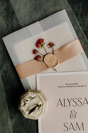 Alyssa-Sam-Wisneski-1015