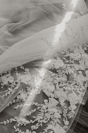 CRB-Web-Resized-1576