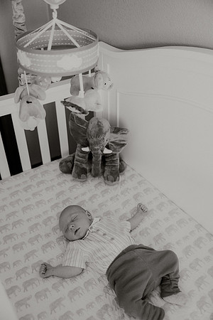 Cooper-Newborns-1122