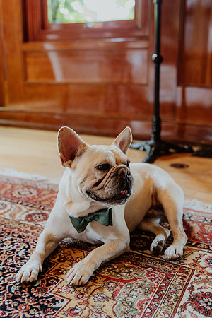 Molly-Matt-Wedding-1473