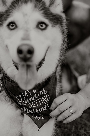 Emily-Josh-Engagement-1148