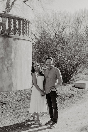 Larissa-James-Engagement-1038