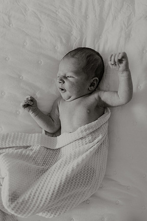 Roarke-Newborns-1097