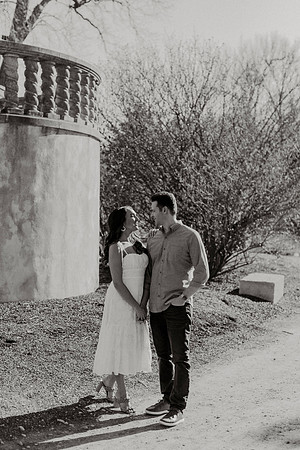 Larissa-James-Engagement-1040