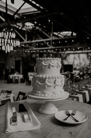 Lindsay-Daniel-Wedding-2231