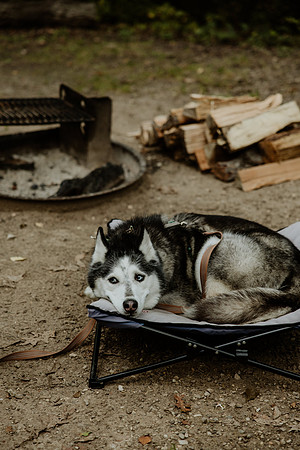 Emily-Josh-Engagement-1151