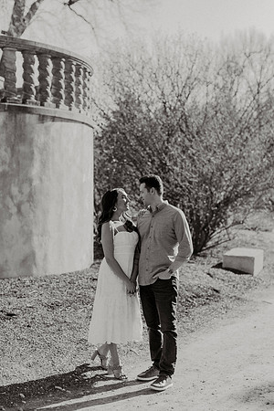 Larissa-James-Engagement-1042