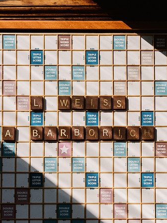 Lindsay-Andrew-Barborich-1009
