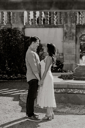Larissa-James-Engagement-1059