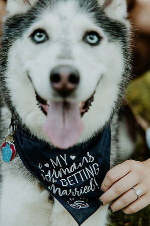 Emily-Josh-Engagement-1149