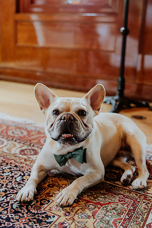 Molly-Matt-Wedding-1475