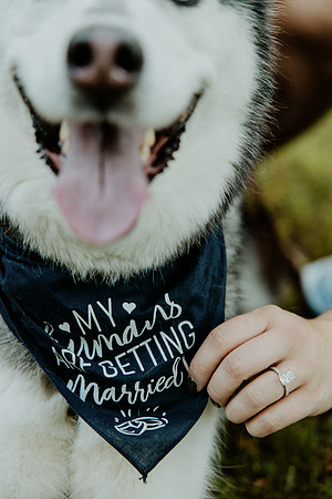 Emily-Josh-Engagement-1147